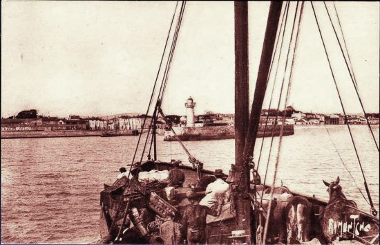 les pêcheurs rentrent au port